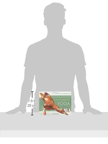 The Key Muscles of Yoga: Scientific Keys, Vol. I by Ray Long | Anatomy Guide for Hatha Yoga