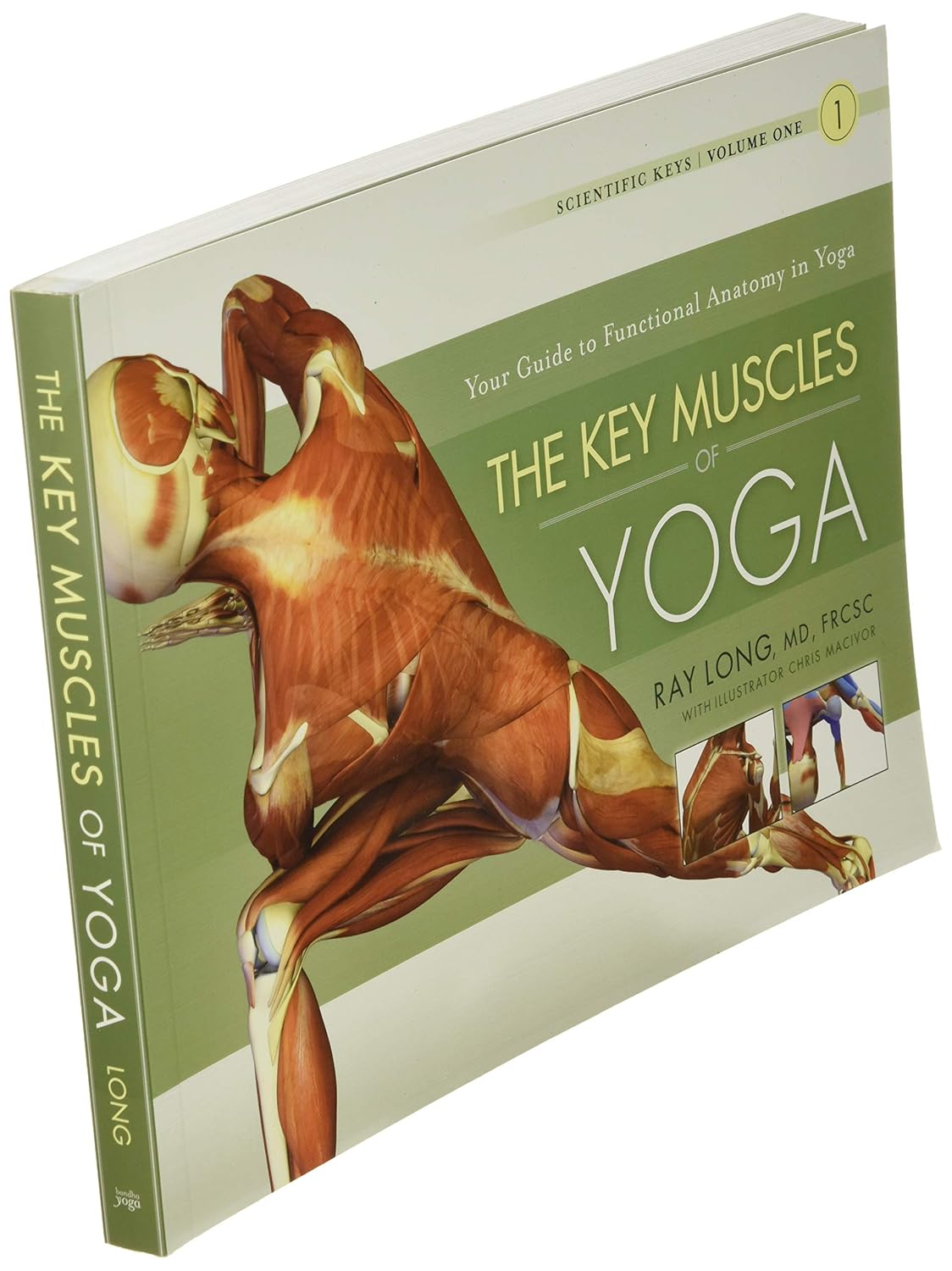 The Key Muscles of Yoga: Scientific Keys, Vol. I by Ray Long | Anatomy Guide for Hatha Yoga