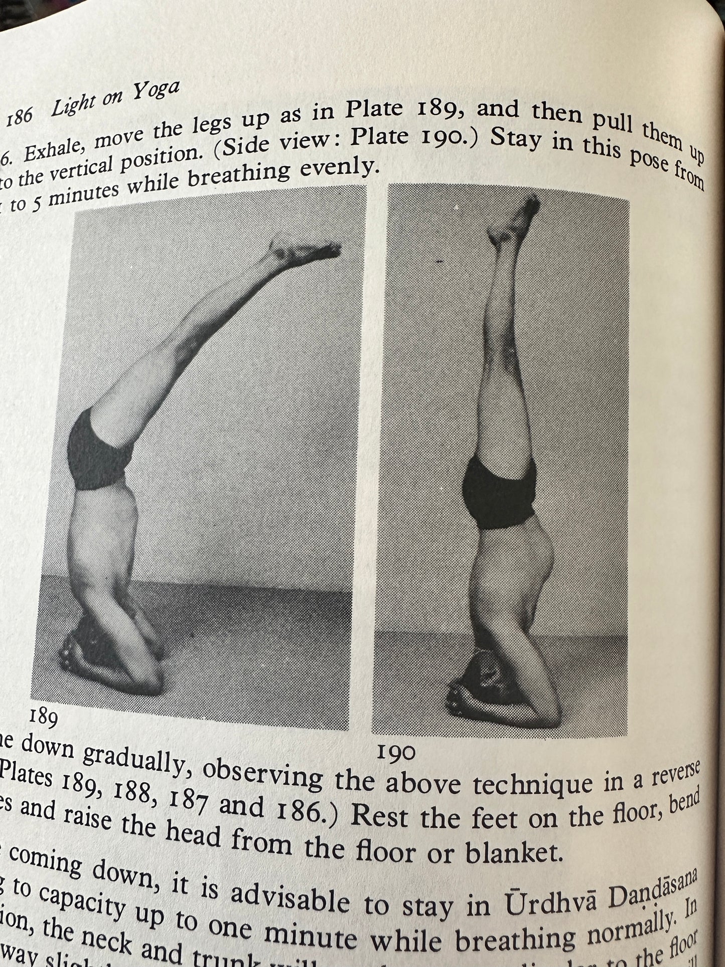 Light on Yoga by B.K.S. Iyengar | The Bible of Modern Yoga | Definitive Guide