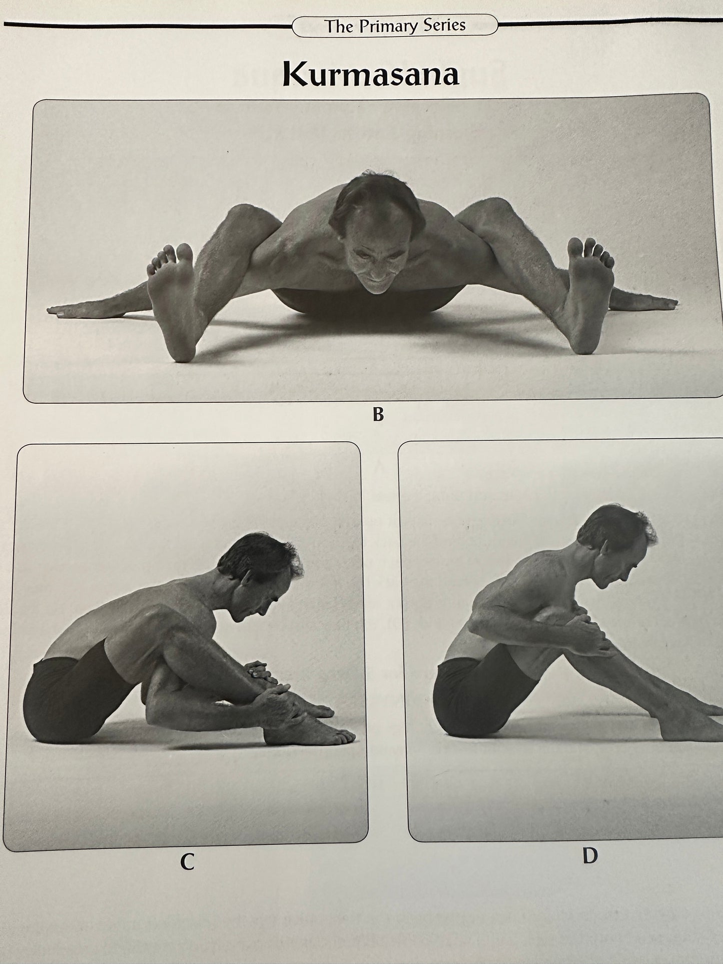 Ashtanga Yoga: The Practice Manual by David Swenson | Primary & Intermediate Series